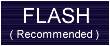 Flash